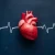 Maintaining a Healthy Heart: Strategies and Insights for Cardiovascular Well-Being