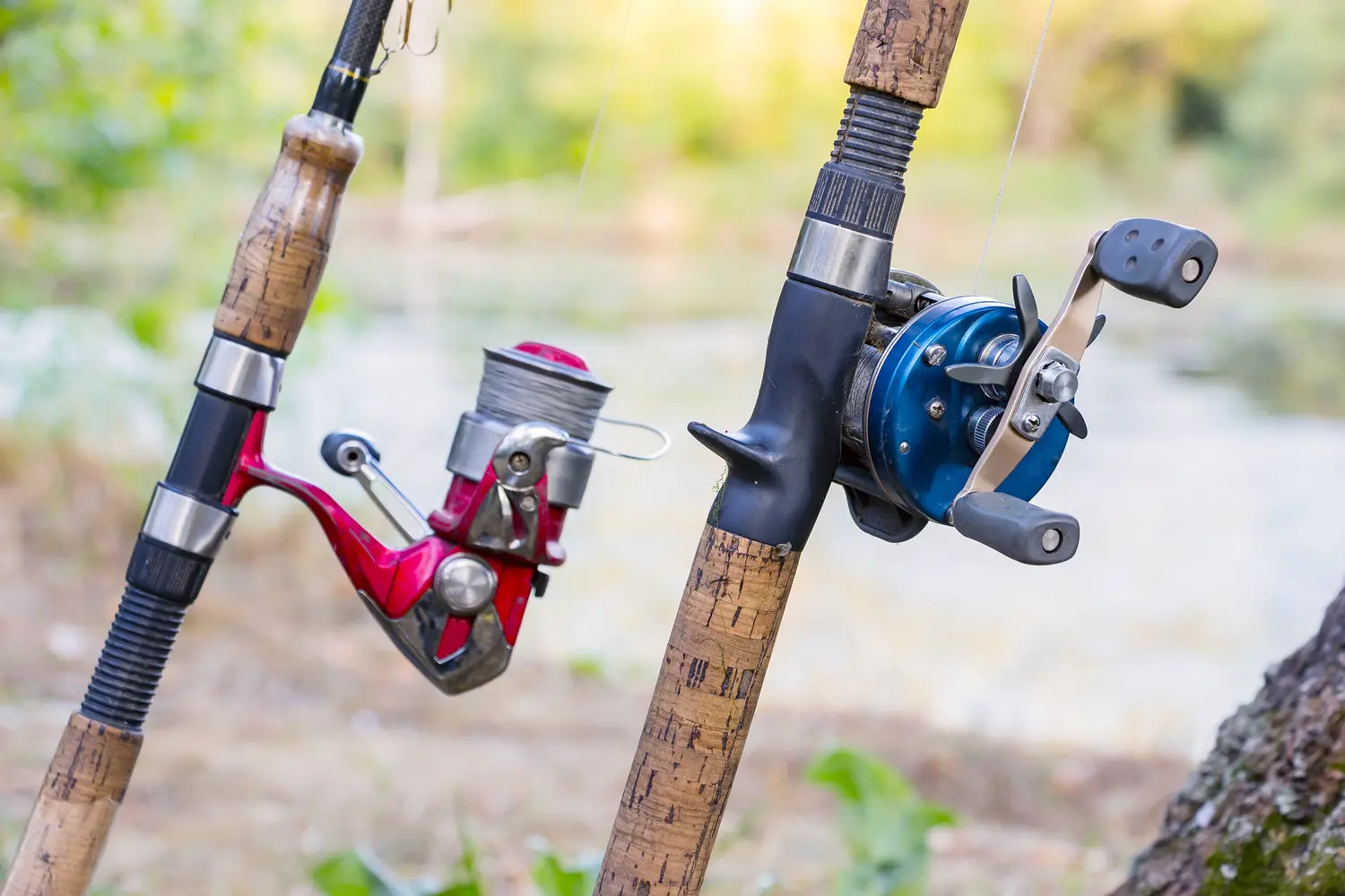 Fishing Reels: Choosing the Right One for Your Needs