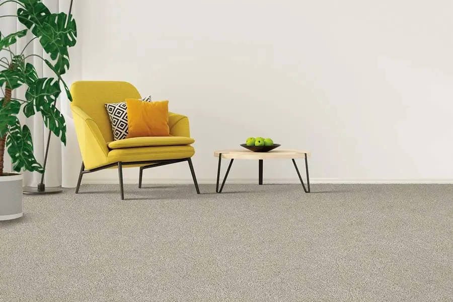 The Benefits and Versatility of Berber Carpet for Modern Homes