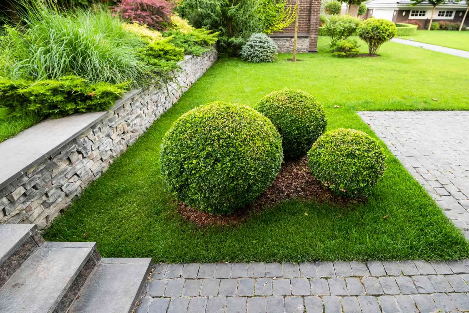 Creating a Lush Garden: The Best Shrubs for Year-Round Appeal