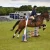 The Essential Guide to Horse Jump Cups and Their Importance in Equestrian Sports