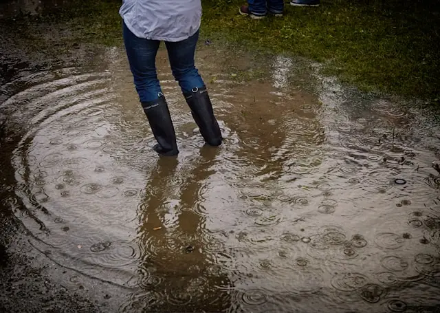 Water Damage